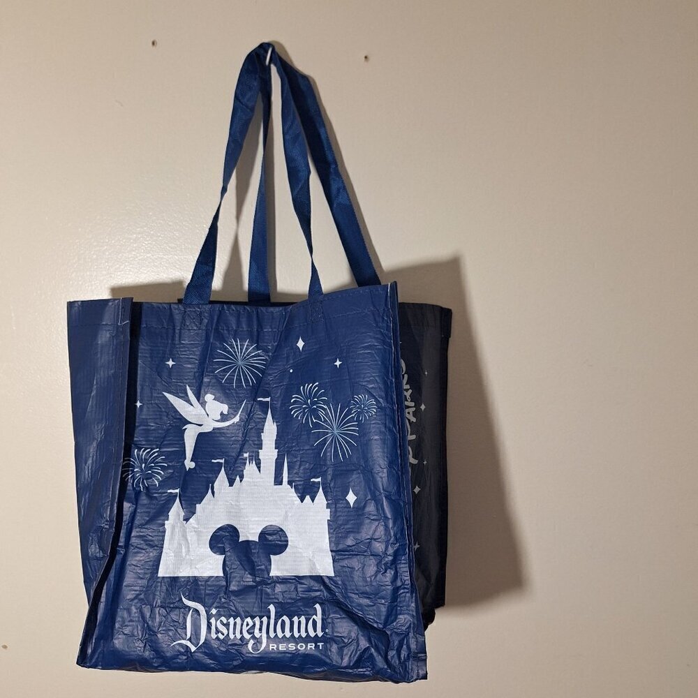Walt Disney World Nylon Bag